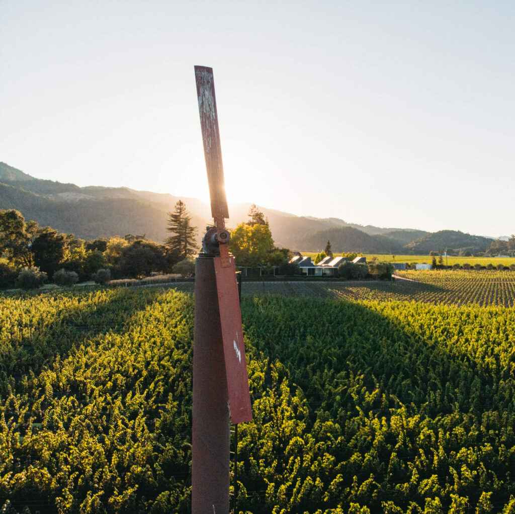 windmill in vineyard